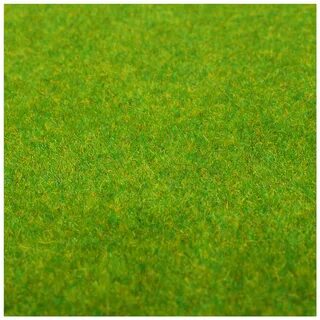 Grass 1