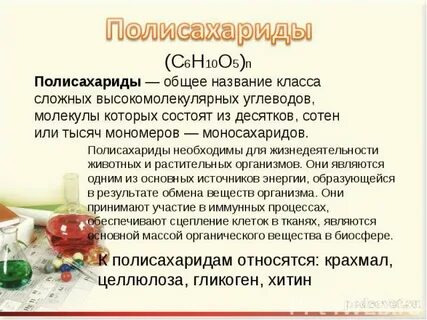 Углеводы урок 10 класс биология презентация