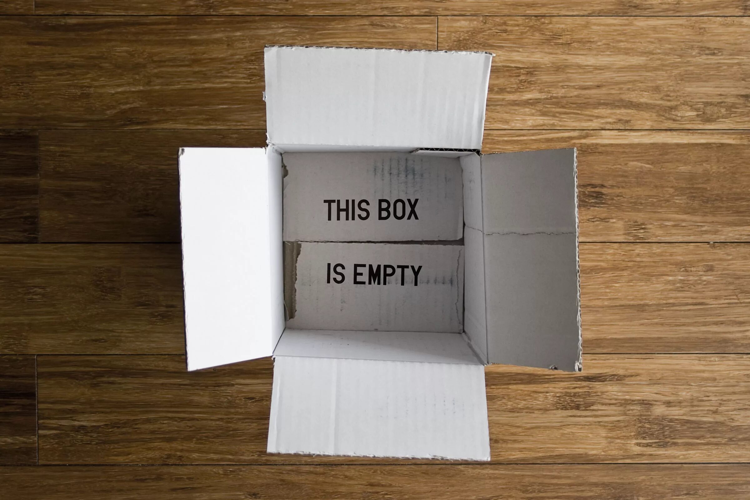 Empty Box. Пустая коробка. Empty картинка. Коробка от часов. What does this box