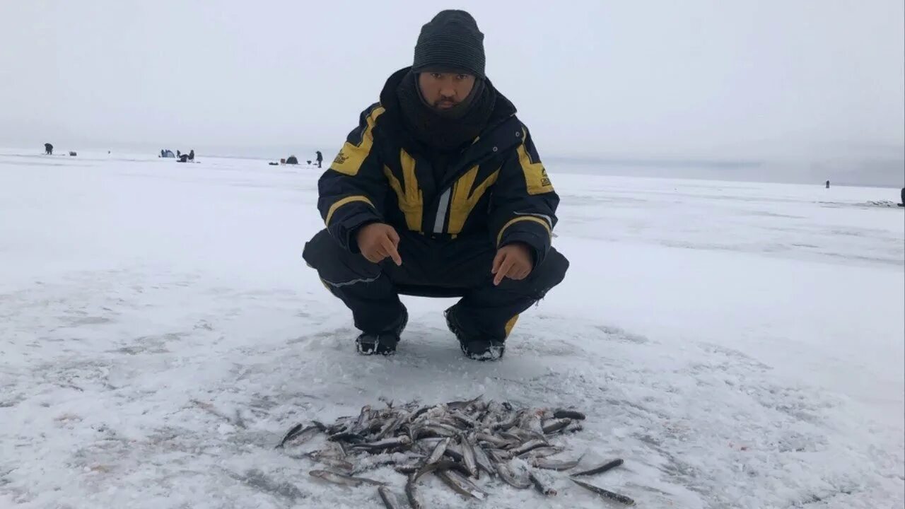 Рыбалка на дамбе финского залива сегодня. Ловля корюшки на финском заливе. Рыбалка на дамбе финского залива южная. Корюшку зимой в финском заливе. Корюшка зима финский залив.