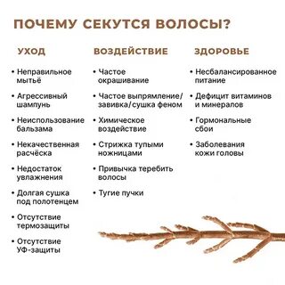 Каких не хватает секущимся волосам