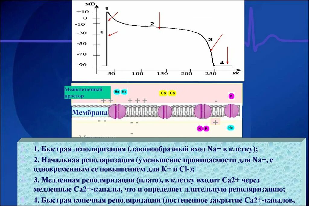 Умеренные изменения реполяризации