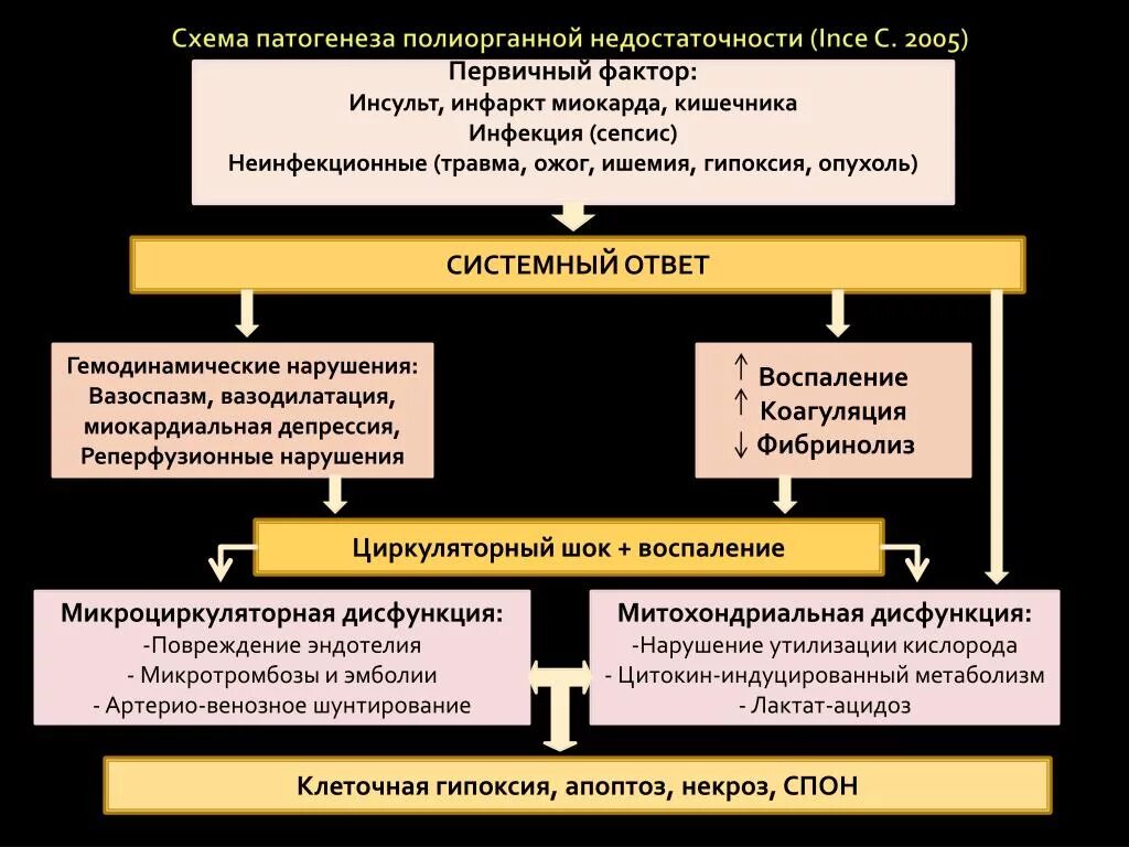 Уровни патогенеза