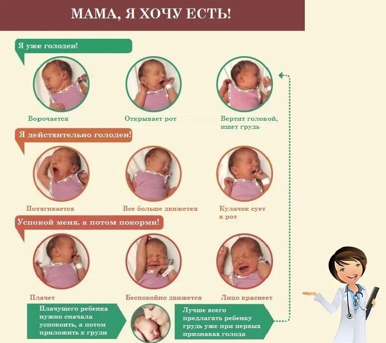 Первая неделя кормления. Кормление по Требованию. Кормление новорожденного по Требованию. Кормление ребенка по Требованию. Период кормления грудного ребенка.