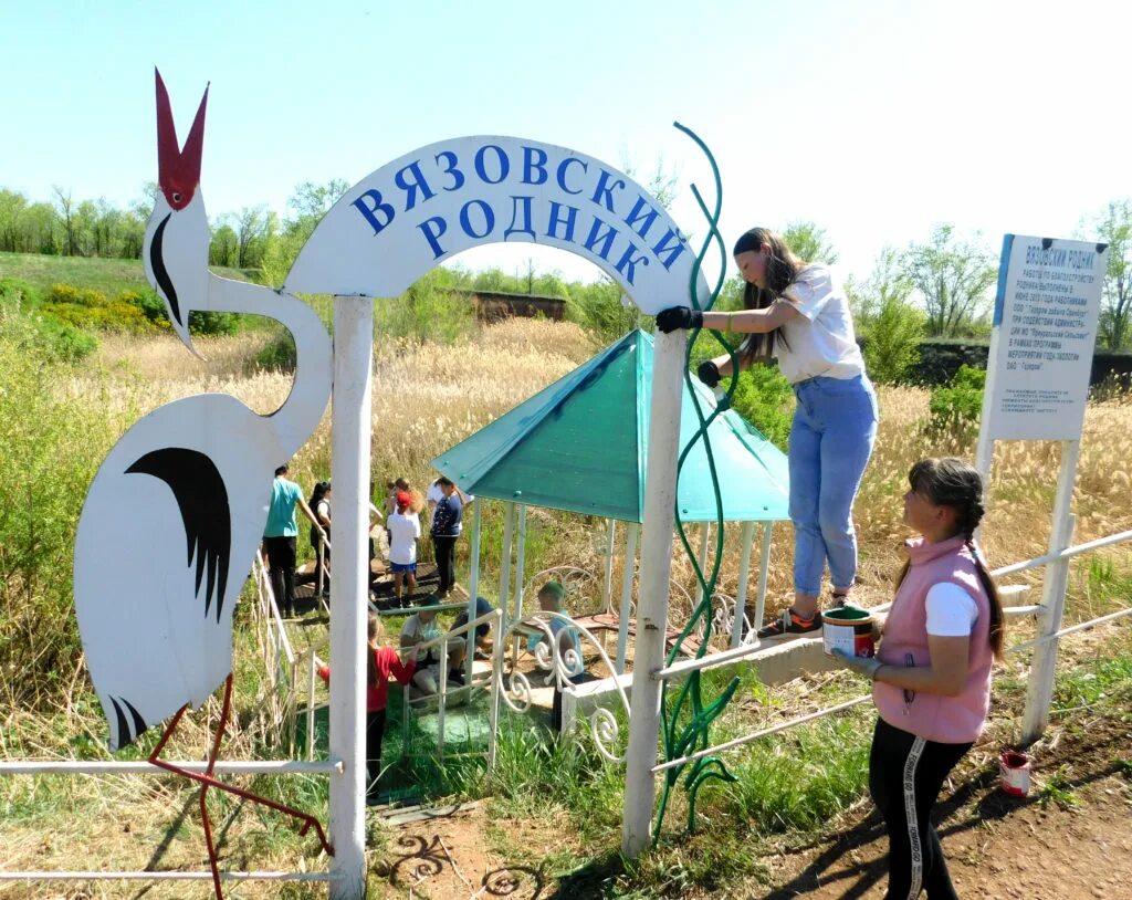 Вязовка самарская область. Родник с.Вязовка. Село Вязовка. Село Вязовка Пензенской области. Родник коренушка Вязовка.