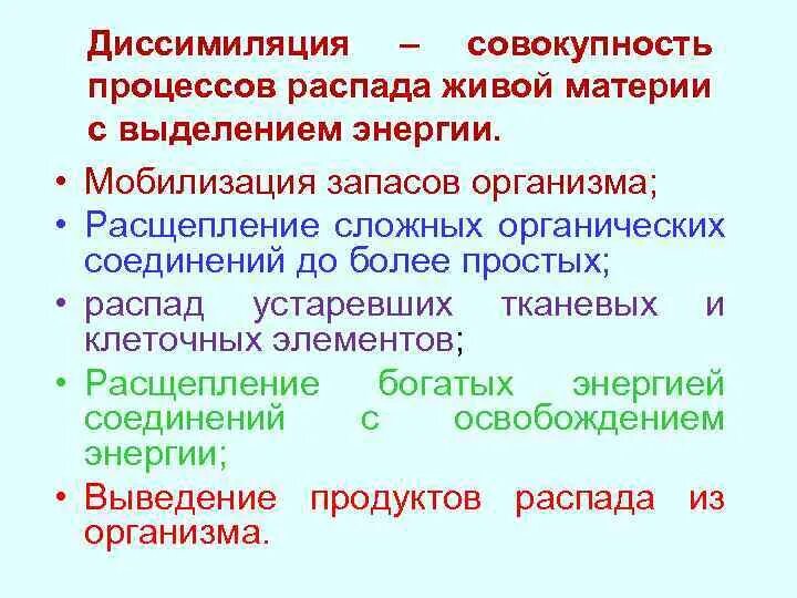 Диссимиляция это в русском. Этапы диссимиляции. Диссимиляция у растений. Диссимиляция в биологии