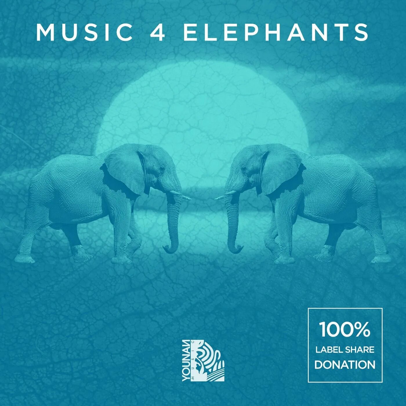 Elephant music. Слон Music. Musical Elephants. Elephant Music альбом. Слоны и музыка.