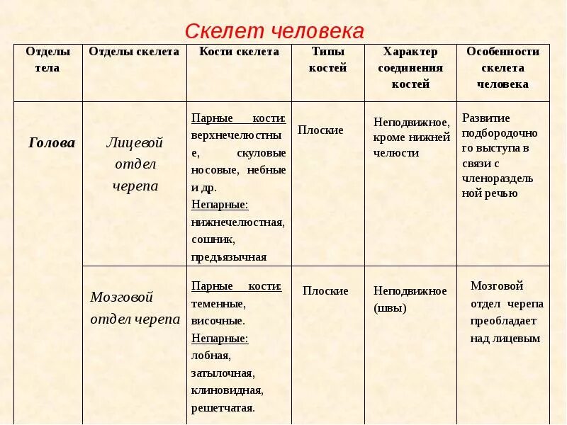 Тип соединения туловища
