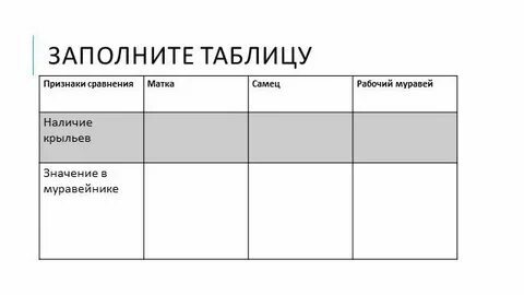 Заполните таблицу проявление