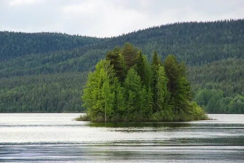 Климат кольско карельского