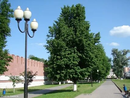 Садов тула