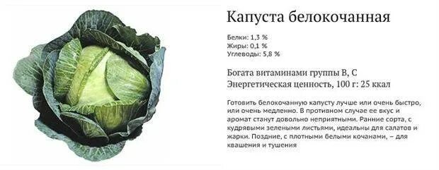 Питательные вещества капусты