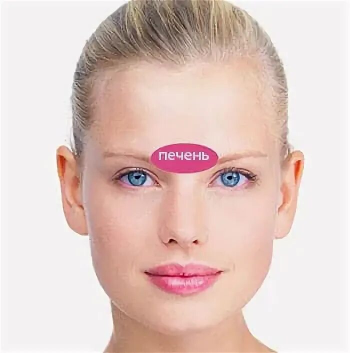 К чему прыщ между бровями у девушки. Надпереносье глабелла. Прыщи на частях лица. К чему прыщ между бровями у девушки. К чему прыщ между бровями у девушки.