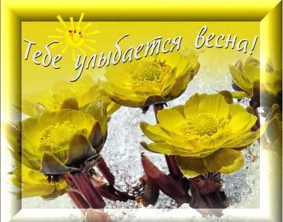 С солнечным днем весны. С солнечным днем весны. Весенние пожелания. С солнечным днем весны. Весенние открытки.
