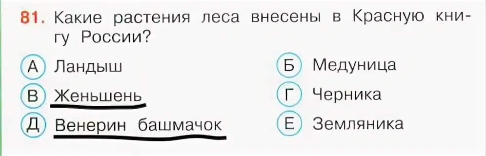 Окружающий мир 4 класс тест плешаков ответы