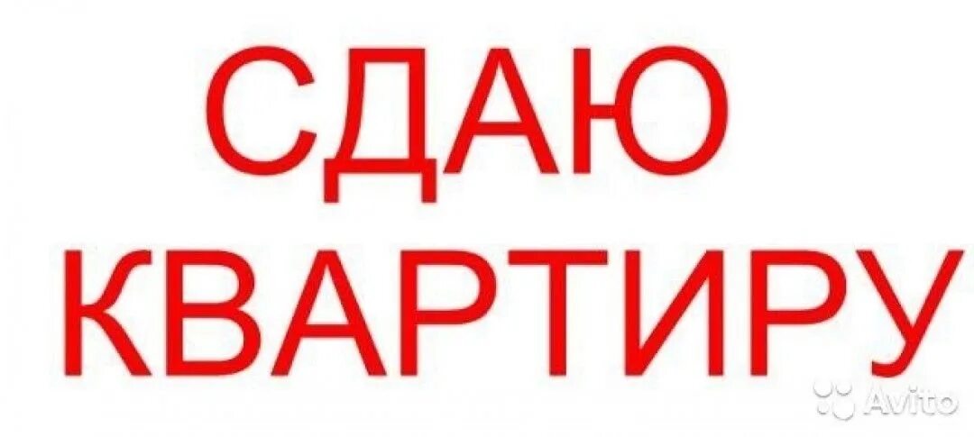 Сдам квартиру образец. Сдается квартира. Надпись жилье. Сдам квартиру надпись. Сдается квартира картинка.