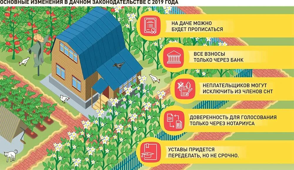Вид использования дачное хозяйство