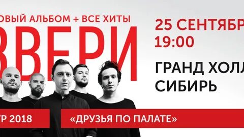 Звери новый альбом