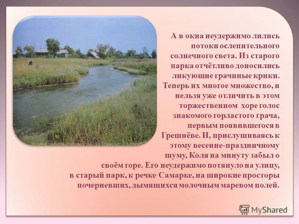 новороссийск канализация в море. паводок это определение. нижнеприморская ул. перед какой погодой птицы перестают петь. вода льется.