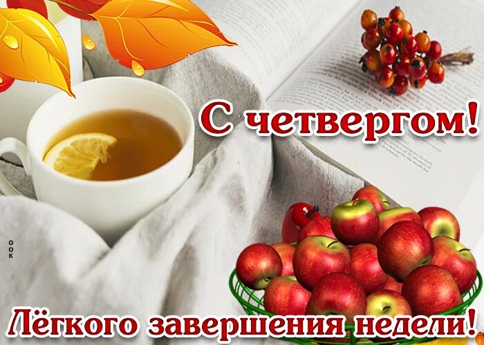 Доброго утра удачного дня четверга. Доброе утро удачного четверга. хорошего четверга и отличного настроения. открытки с добрым утром четверга. пожелания с добрым утром четверг.