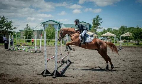 Конно спортивный клуб отзывы