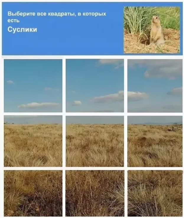 Сколько квадратов изображено на картинке. Капча найдите светофор. Сколько квадратов изображено на чертеже. Выберите все квадраты в которых есть. Площадь большого квадрата s=.