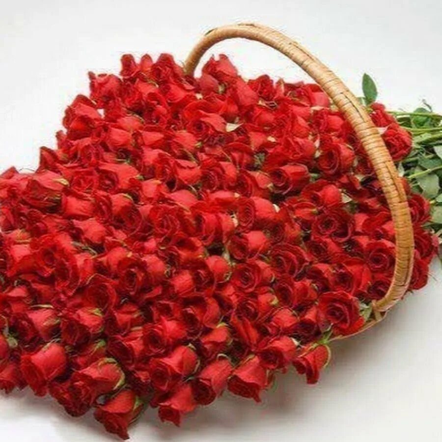 Комплиментов и цветов много много нежных слов