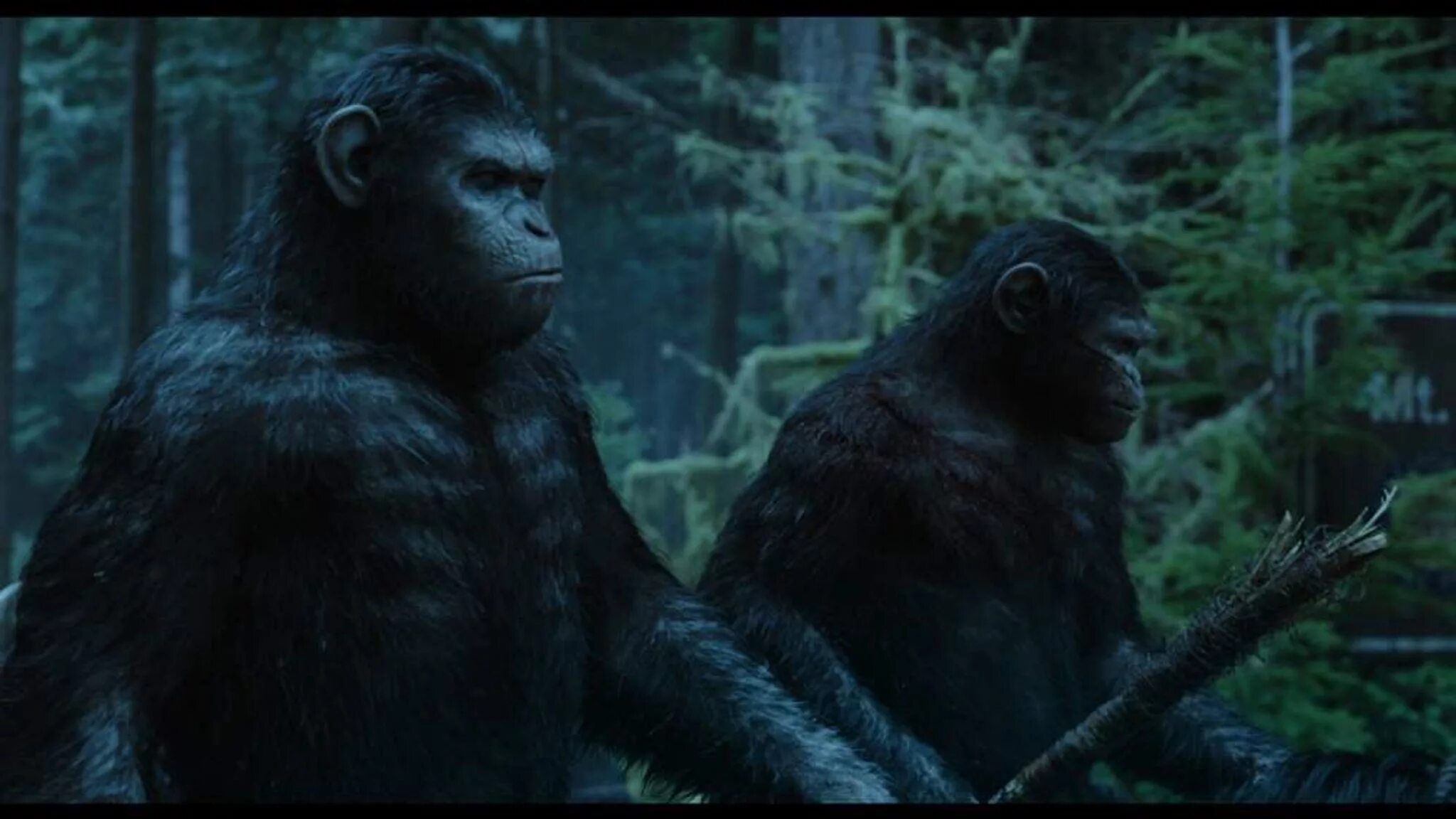 Планета обезьян 2014 качество. Планета обезьян: революция (2014). Восстание планеты обезьян 2. Планета обезьян революция.