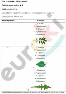 Лабораторная работа 7 по биологии 6 класс