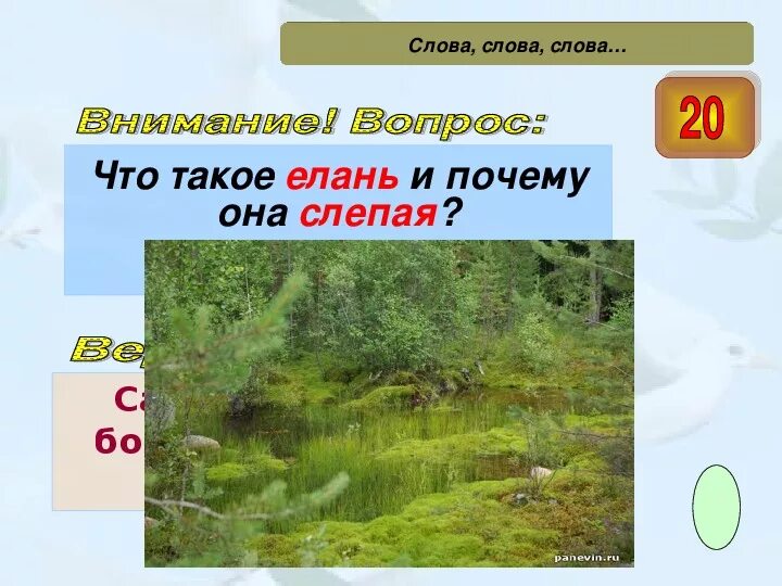 Блудово болото содержит огромные запасы горючего ответы. Блудово болото слепая Елань. Слепая Елань в произведении. Слепая Елань кладовая солнца. Слепая Елань в произведении кладовая солнца.