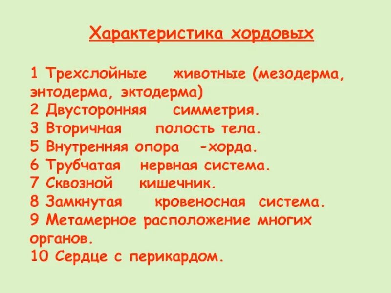 Выберите признаки характерные для хордовых животных Shtampik.com
