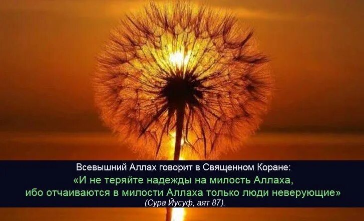 Уповать на всевышнего. Милость Аллаха. Никогда не теряйте надежды на милость Аллаха. Милость Всевышнего. Милость Всевышнего Аллаха.