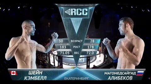 Бой предложения