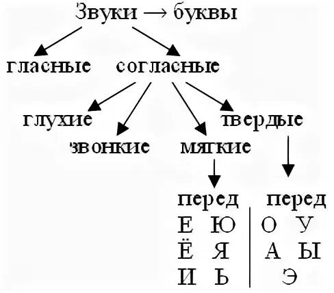 Тема урока 1 класс звуки и буквы. Схема гласные и согласные звуки. Схема гласных и согласных. Гласные звуки схема. Звуки русского языка схема.