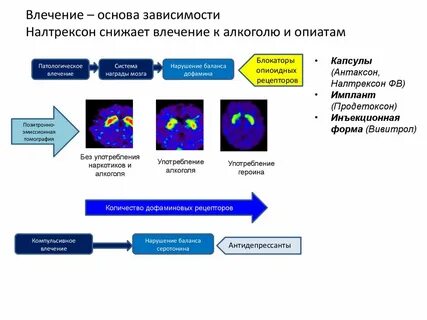 Основы зависимости