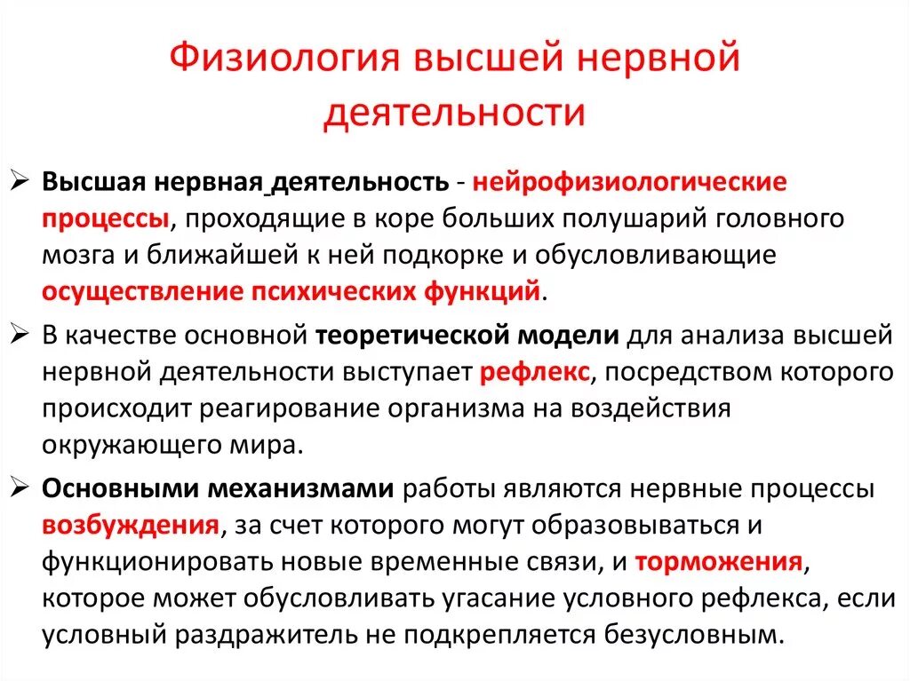 Признаки специфической нервной деятельности. Основные механизмы высшей нервной деятельности. Физиология ВНД. Физиология высшей нервной деятельности. Основы физиологии высшей нервной деятельности человека..