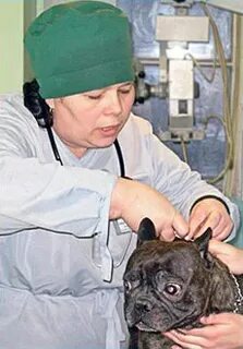 Институт ветеринарной биологии отзывы ораниенбаумская ул