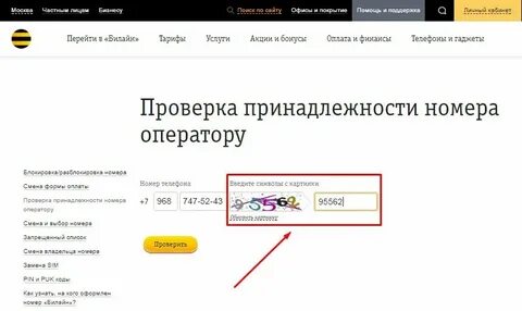 Как узнать телефон операторов билайн