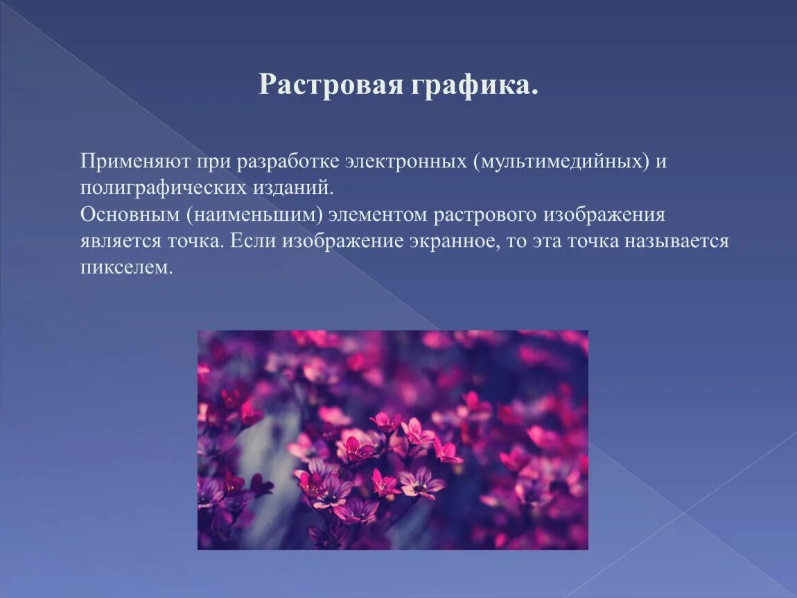 Изображения являются. Растровая Графика. Базовый элемент растровой графики. Основные элементы растровой графики. Основной элемент растровой графики.