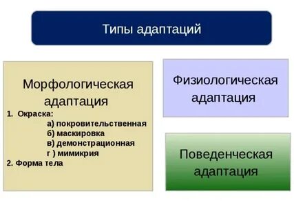 Таблица адаптации 11 класс
