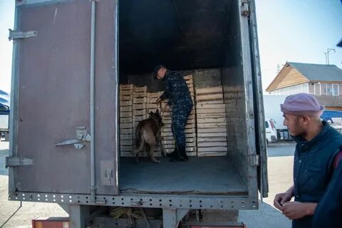 Красноярский проверка