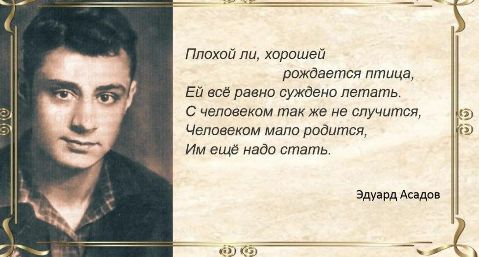 Асадов цитаты.