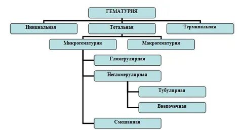 Тотальная гематурия