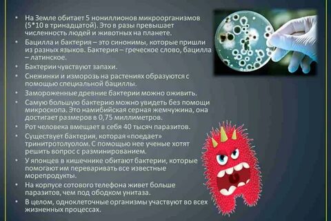Бактерии обитают в