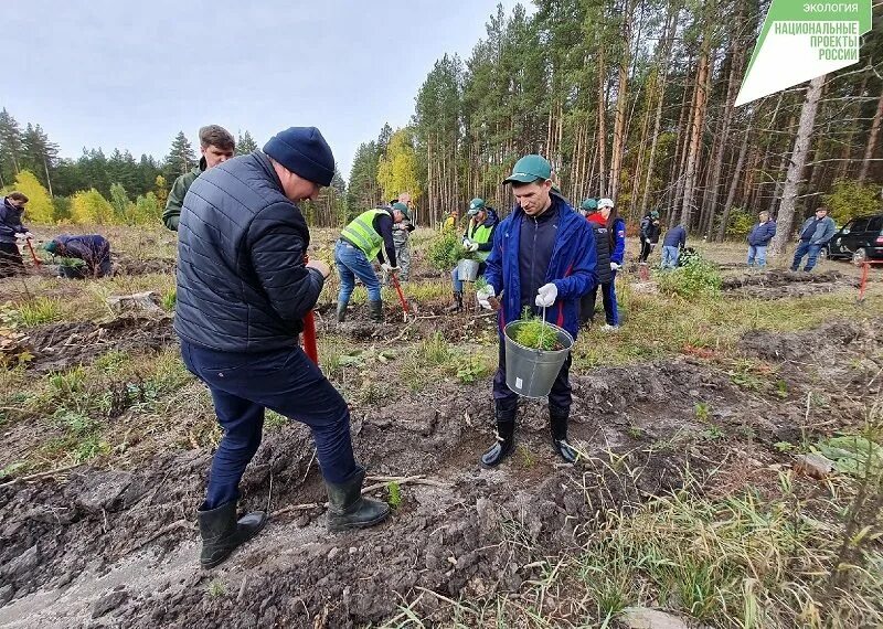 Минприроды Ульяновск. Николаевское лесничество. Министр сельского лесного хозяйства в Ульяновске. Министерство природы и цикличной экономики Ульяновской области. Министерство природных ульяновской