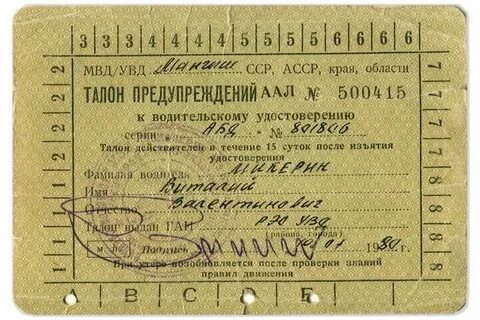 Талон бу светлогорск гомельская область взрослая