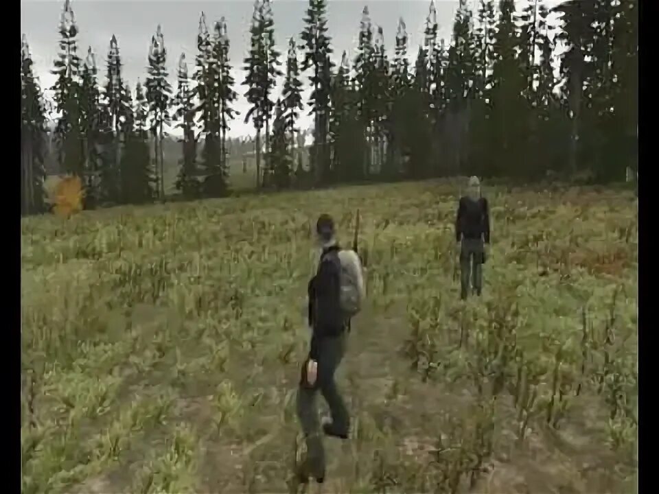 Dayz скрипт