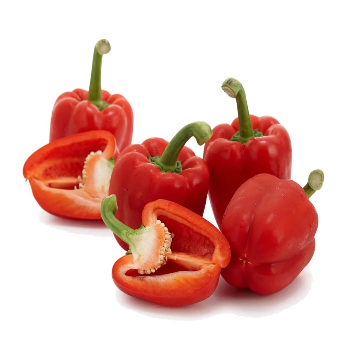 Capsicum