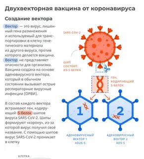 Инструкция применения вакцины от коронавируса