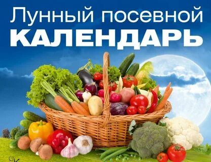 Посевной календарь на ноябрь 2024